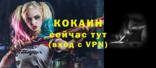 стаф Верхний Тагил
