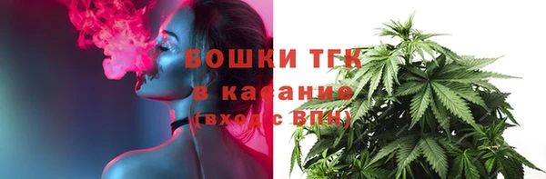 стаф Верхний Тагил