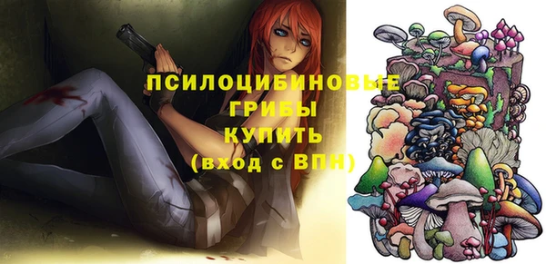 стаф Верхний Тагил