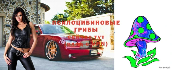 спайс Верея