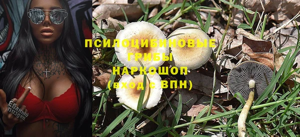 спайс Верея
