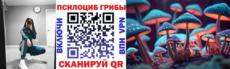 Псилоцибиновые грибы мухоморы  Дмитровск 